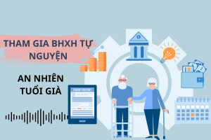 Bảo Hiểm Xã Hội Tự Nguyện: Khái Niệm, Chế Độ Và Mức Đóng